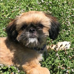 Meet your Posher, Angela